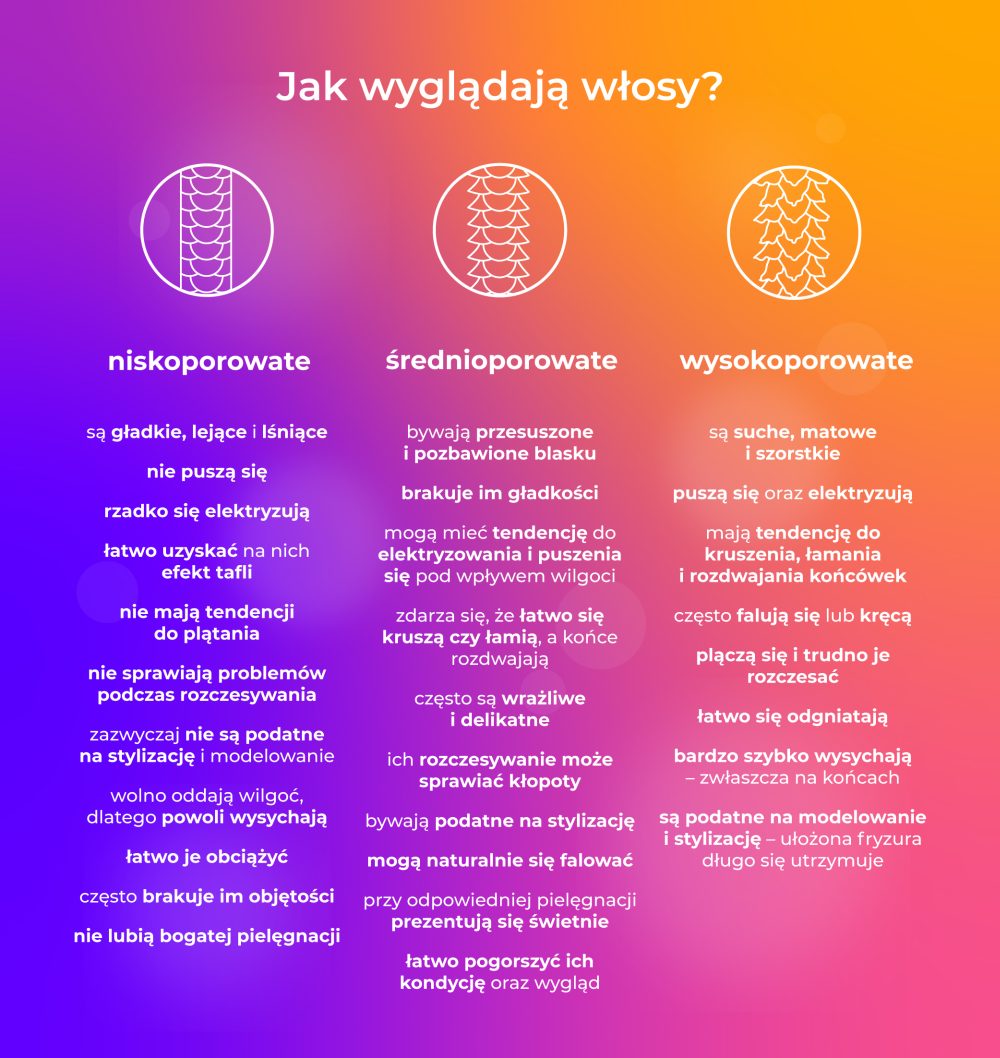 Grafika typów porowatości włosów